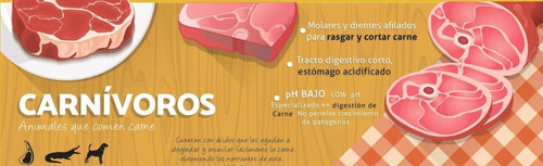 Alimento Carne Fresca Puppy Care Para Perro Cachorro Sabor Mix En Bolsa De 15 Kg