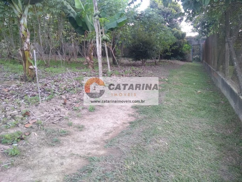 Imagem 2 de 10 de Lindo Terreno Com Topografia Plana!