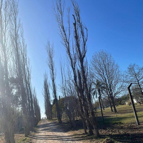 Venta Lote 315 M² Barrio Tierra De Autores Pueblo Esther