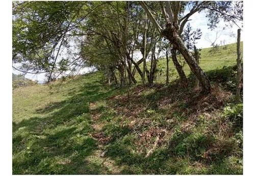 Vendo Finca De 30 Cuadras En Damasco Para Ganadería Cerca La Pintada