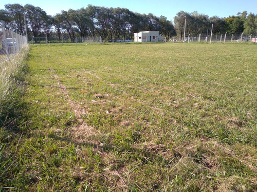 Terreno 1.500 Metros - Exaltación De La Cruz - Lote 34