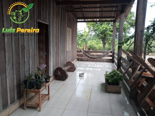 Imagem 11 de 15 de Fazenda À Venda Em Colniza -mt - 629,2 Hectares (dupla Aptidão) - 2108