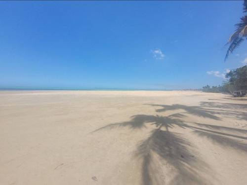 Terreno En Primera Línea De Playa Miches, República Dominica