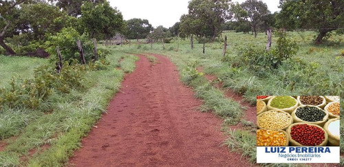 Fazenda À Venda Em Formoso Do Araguaia-to-de 400 Alqueirões (dupla Aptidão) - 1604
