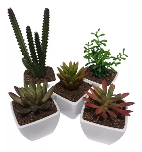 Cactos Artificiais Kit Com 5 Vasinhos Decorativos