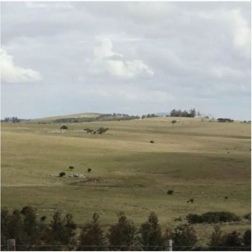 Campo En Venta