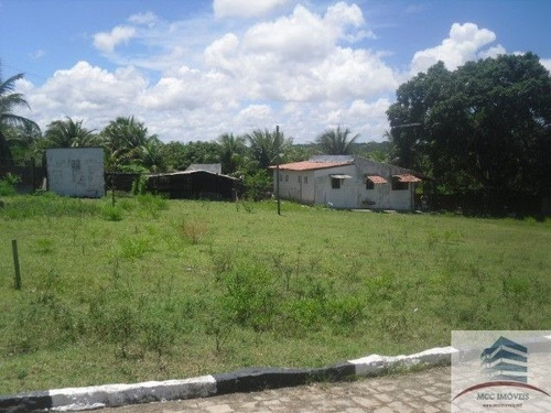 Imagem 4 de 12 de Granja A Venda Pium