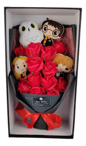 Kit Harry Potter - Regalo – Azap Flores MX