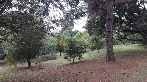 Chácara Com 3 Dormitórios À Venda, 3965 M² Por R$ 636.000,00 - Jardim Santa Helena - Bragança Paulista/sp - Ch0001