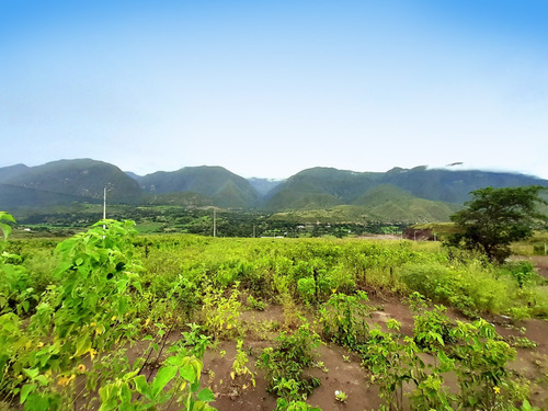 Terreno En Yunguilla - Lacay 1000m2 ¡¡aprovecha Esta Gran Oportunidad¡¡