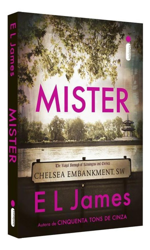 Mister, de James, E. L.. Editora Intrínseca Ltda., capa mole, edição livro brochura em português, 2019