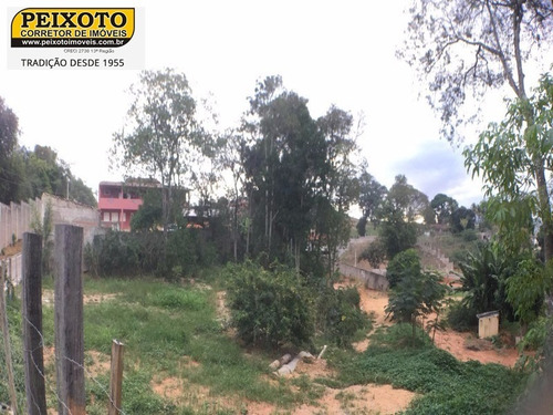 Imagem 5 de 6 de Terreno - Te00014 - 4394529