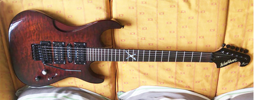 Guitarra Electrica Con Floyd Rose Washburn X