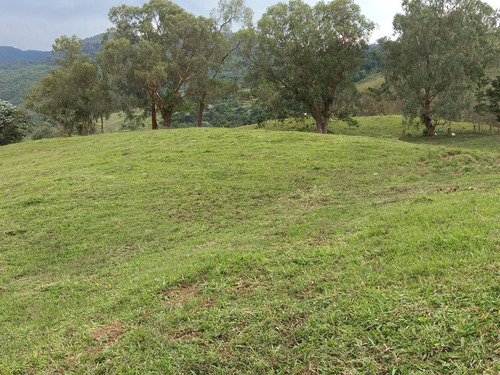 Imagen 9 de 14 de Vendo Lote En La Magdalena