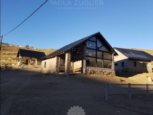 Imagen 6 de 19 de Terreno, Mendoza, Los Molles, Pirihue