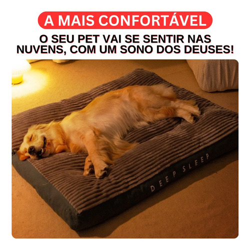 Caminha Pet Grande Cama Para Cachorros Medios Grande Colchonete Pelucia Resistente Lavavel G M 80x66 Golden Retriever Bulldog Frances Tifens Cor Verde