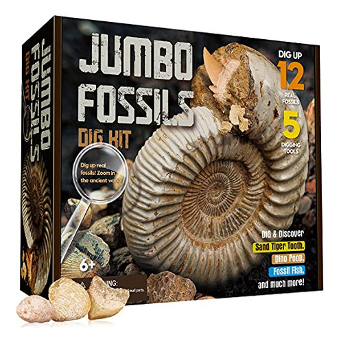 Toys Jumbo Fossils Dig Kit - 12 Real Fossils, Dinosaur ...