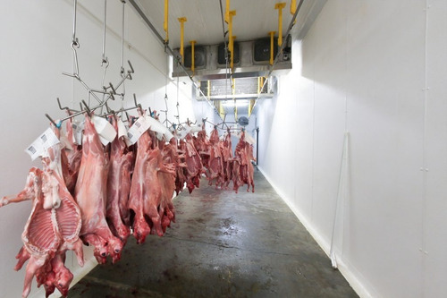 1 Cabrito Entero Crudo (6.0 A 6.5 Kilos) Y 10 Machitos .