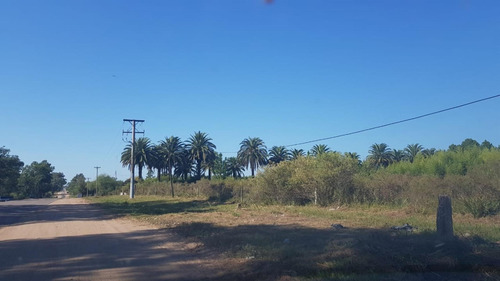 Imagen 2 de 13 de Venta 8,5 Has - San Jose - E.r.