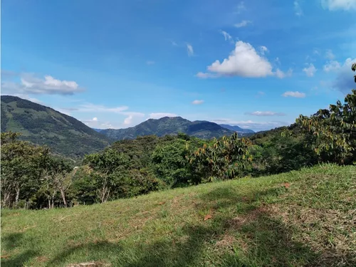 Lote En Venta, Los Cedros, Cocorná