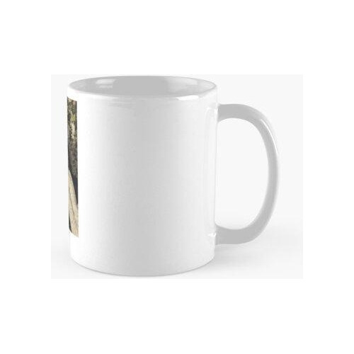 Taza Pierre Niney - Camisa De Actor Francés Calidad Premium