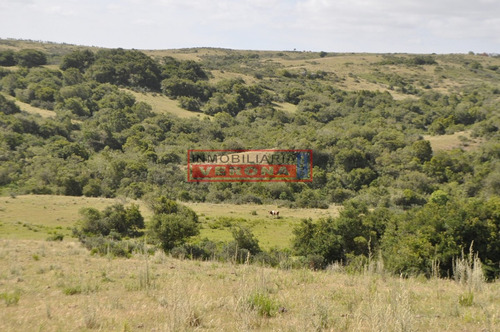 Venta Campo Ubicado En Garzón 