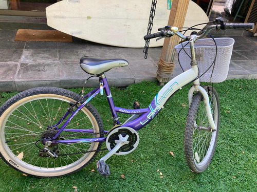 Bicicleta Dallas 2400 Aro 24