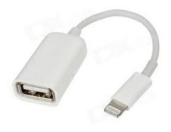 Kit Conexión Cable Adaptador Otg Usb Para iPad Mini iPad 4