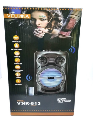 Bafle Bocina Amplificada 6.5 Bluetooth Portátil Usb Vkk-613