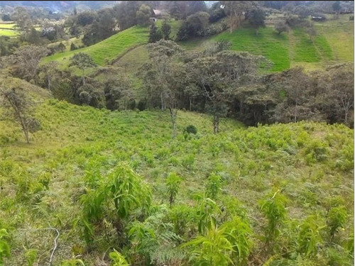 Venta De Lote En La Fe, El Retiro