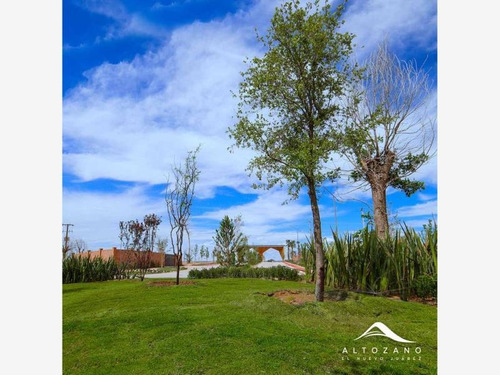 Imagen 10 de 12 de Terreno En Venta Ejido Zaragoza