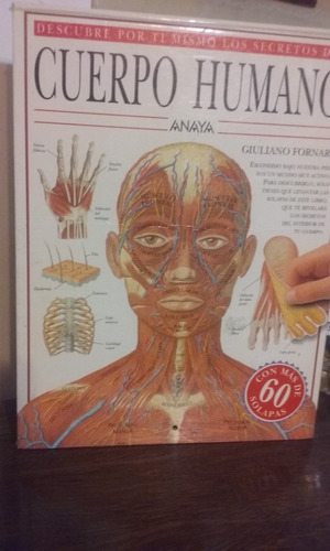 Cuerpo Humano De Giuliano Fornari