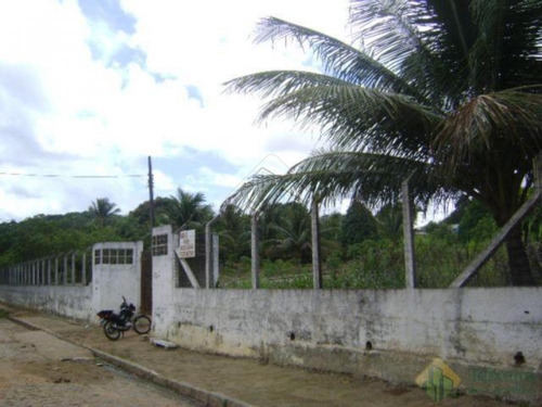 Imagem 2 de 10 de Chácaras - Ref: V688