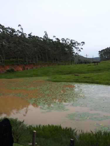 Imagem 5 de 12 de Fazenda 157 Alqueires Em Sete Barras-sp