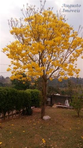 Imagem 3 de 20 de Chácaras À Venda Em Bragança Paulista/sp - Compre O Seu Chácaras Aqui! - 1483818