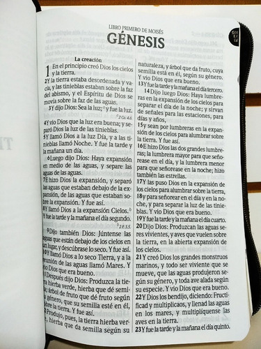 Imagen 7 de 10 de Biblia Rvr1960 Letra Grande Imit Piel Café Con Cierre/índice