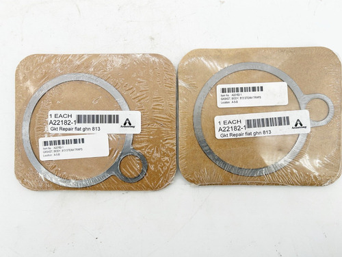 New Lot Of 2 Armstrong A22182-1 Gasket Repair Flat G Ccr