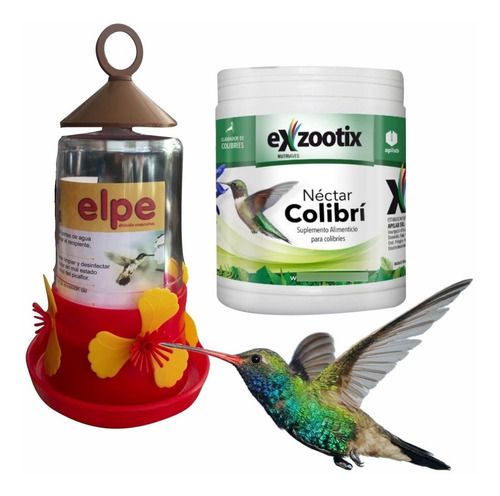 Bebedero Para Picaflor Colibrí + Tarro Nectar X 300g Envíos