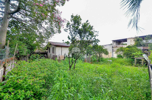 Imagem 27 de 30 de Terreno - Residencial - 923808