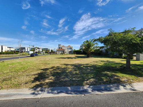 Imagen 7 de 27 de Venta Lote Nuevo Quilmes Interno.