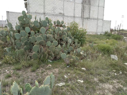 Imagen 10 de 10 de Terreno En Venta La Loma