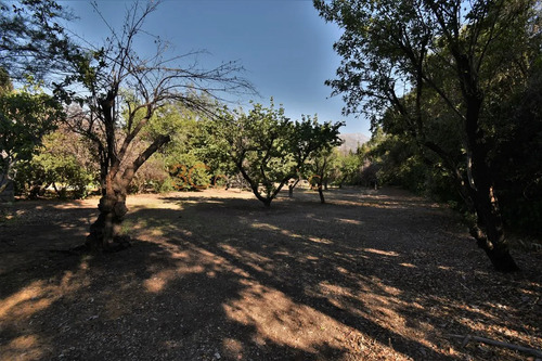 Inmobiliaria / Camino San Francisco De Asis / Cantagallo