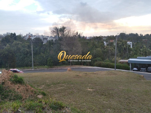 Imagem 6 de 30 de Terreno - Te00307 - 69917877