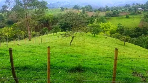 Piendamó, 23 Plazas Ganaderas Y/o Agrícolas.
