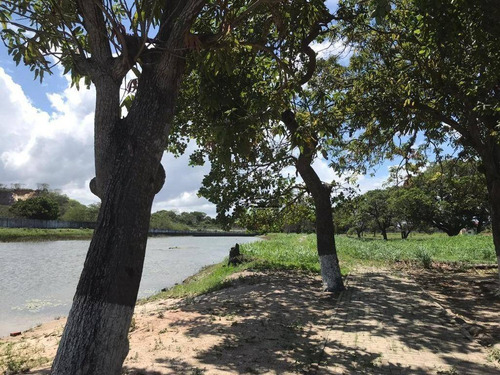 Imagem 1 de 30 de Lote À Venda, 241 M², Vila Do Porto, Condomínio Fechado - Lagoa Do Banana - Caucaia/ce - Te0430