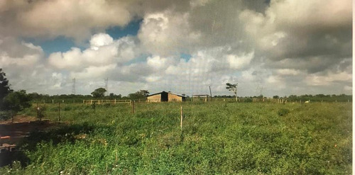 Imagen 6 de 9 de Se Vende Finca En Curiepe, Maturin Ve02-1352cem-scor