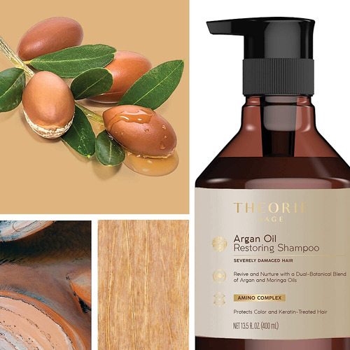 Champú Reconstructor Con Aceite De Argán Theorie