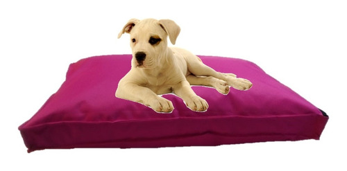 Colchón Liso Antidesgarro 70x50x8 Cama Perros Mascotas Gatos