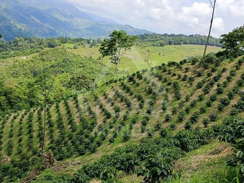 Finca Santa Cruz De Mora