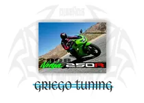 Comprar Adhesivos Kawasaki 250r Ninja Año 2008